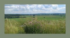 WhatsApp Image 2022-07-09 at 13.33.07 WhatsApp Image 2022-07-09 at 13.33.07
